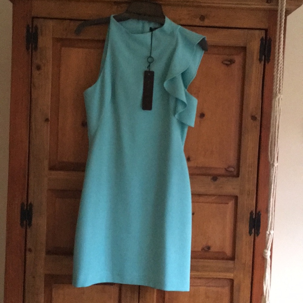 Fitted, sz 2, chic teal dress from Black Halo.
